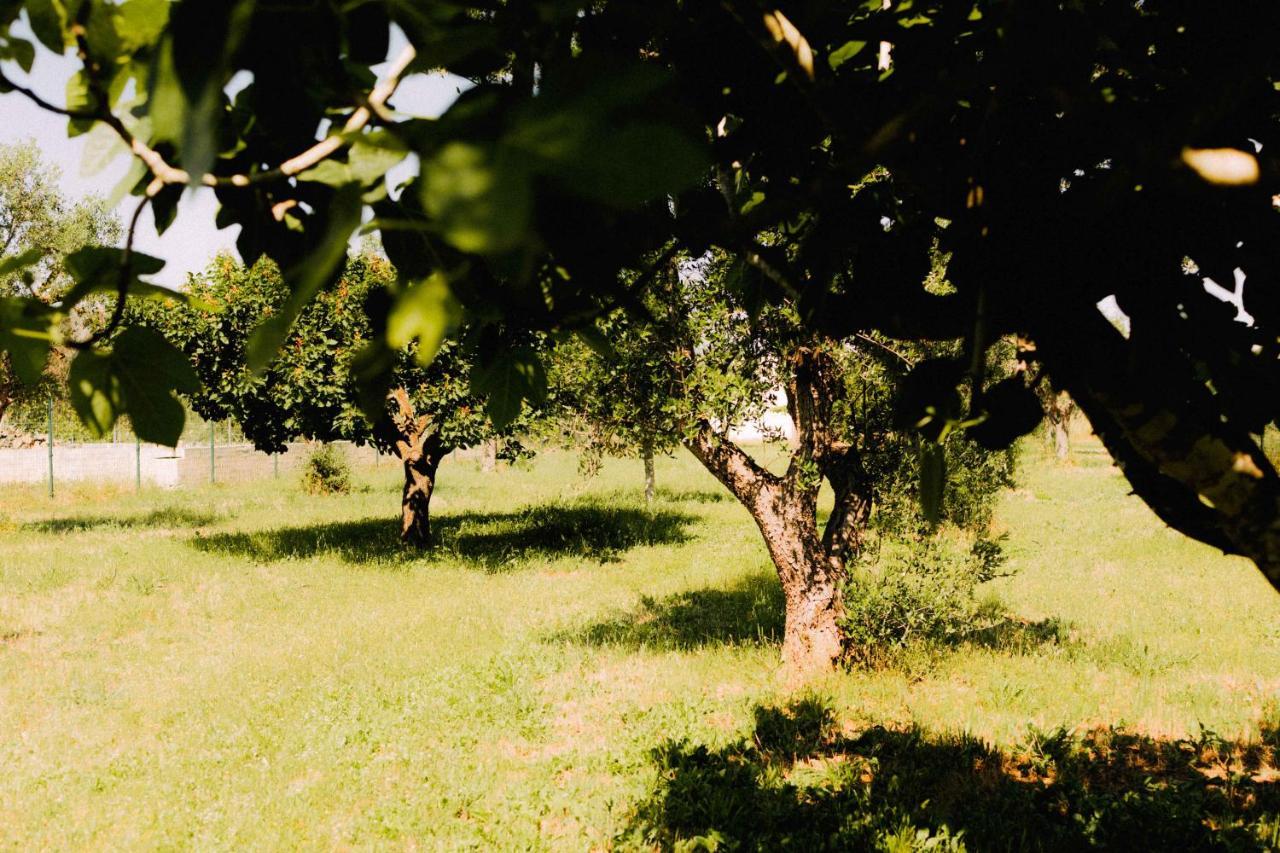 Sweet In Nature Reserve Vakantiehuis Nardò